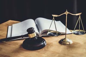 Litigation Cases